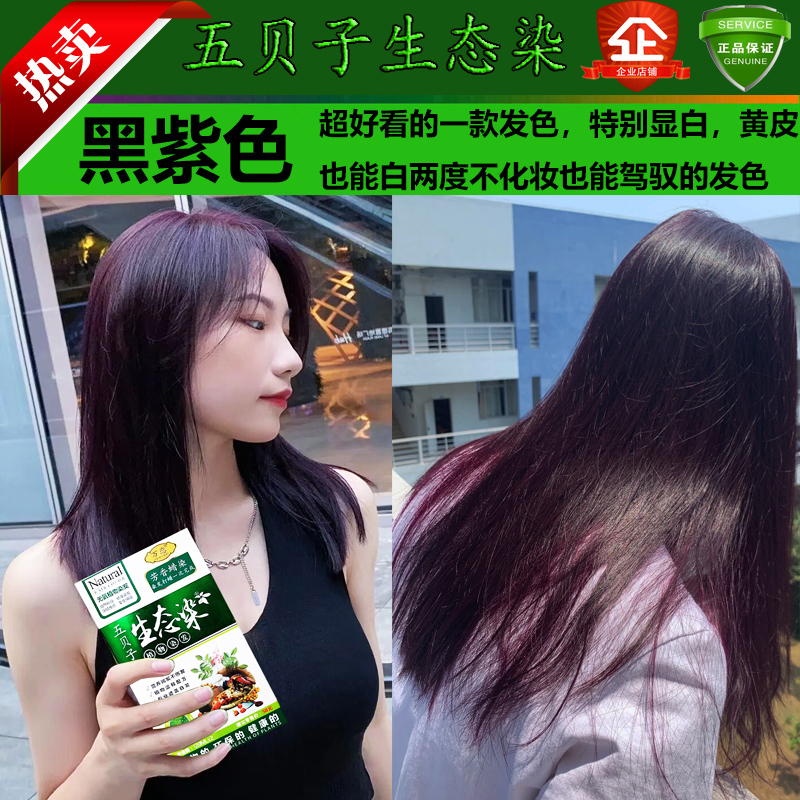 五贝子植物染发剂纯棕黑茶色蓝黑色男女士专用黑发遮盖白发染发膏 - 图1