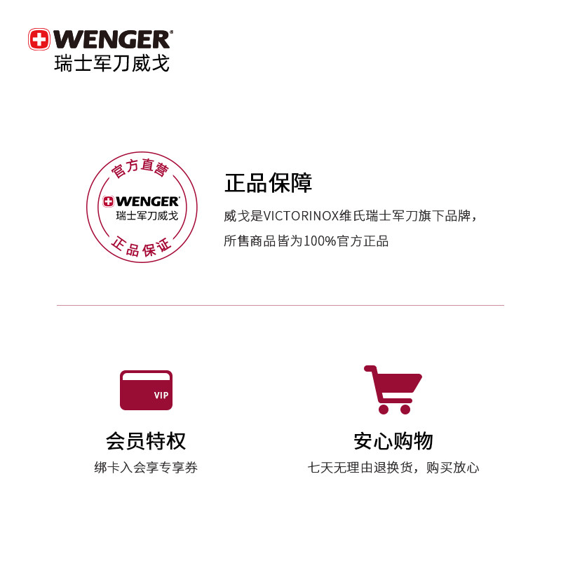 Wenger/威戈瑞士军刀双肩包男潮流大容量书包防水商务电脑背包男 - 图3