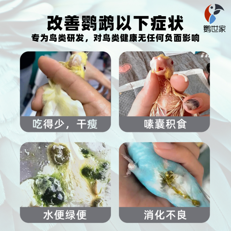 凯鸽嗉囊清积食呕吐胀气少吐食欲不振腺病毒八鹩哥鹦鹉鸟宠添加剂 - 图1