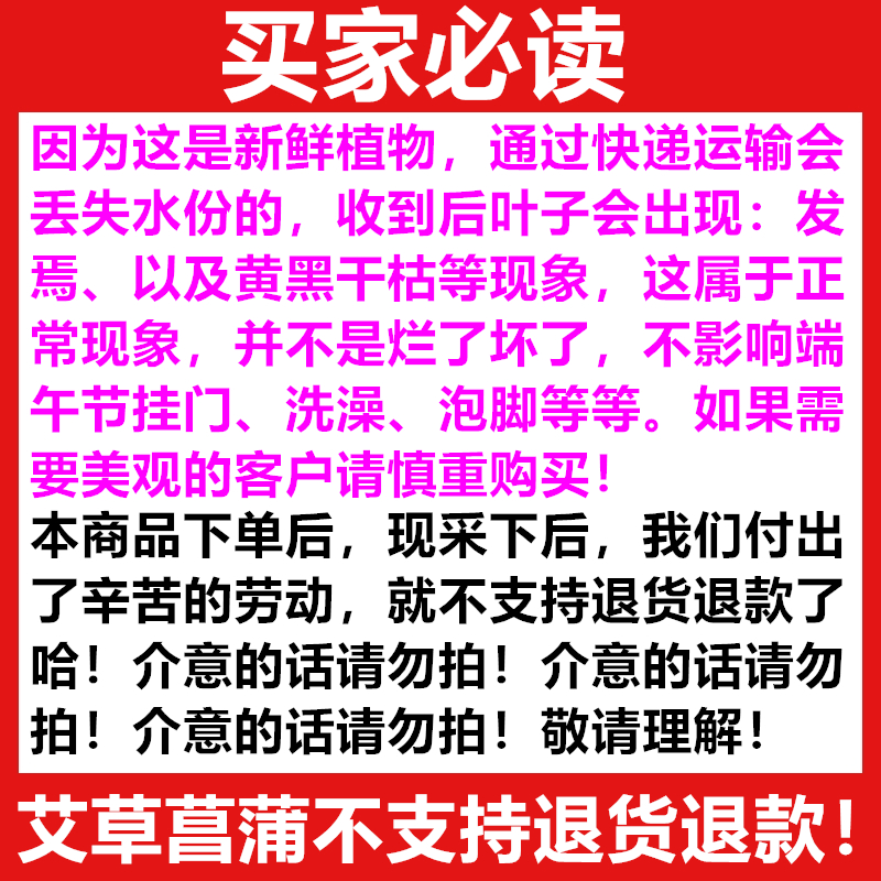 成都发货 新鲜艾叶菖蒲艾草挂门檐艾蒿驱蚊窗户 端午风俗活动礼品 - 图2