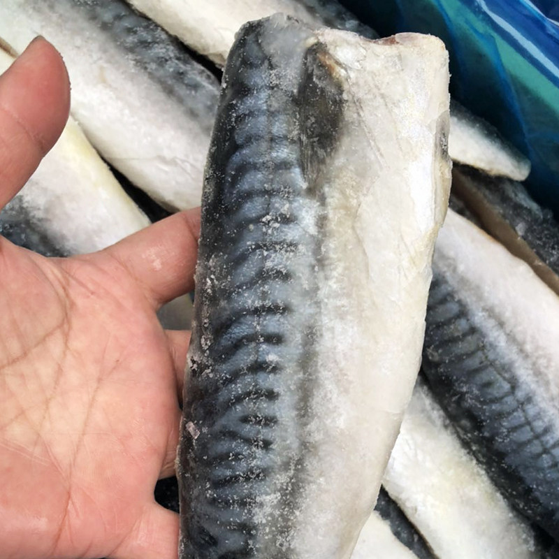 日式水产青花鱼片5KG装规格齐全烤鱼料理店食材生煎冷冻原日料店,淘宝优惠券,粉丝福利购,淘宝优惠卷
