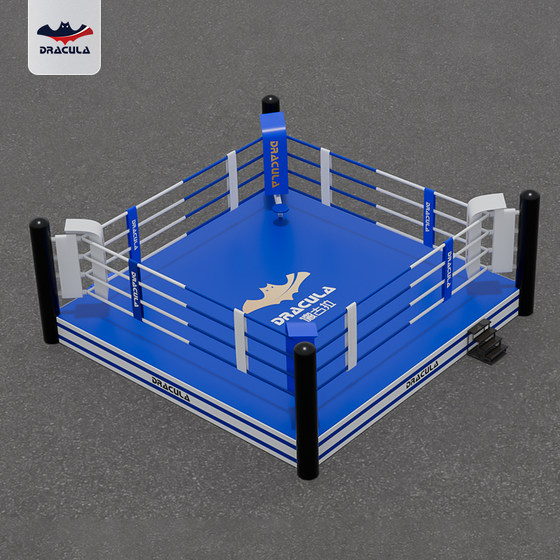 DRACULA fighting ring martial arts Sanda training