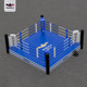 DRACULA fighting ring martial arts Sanda training