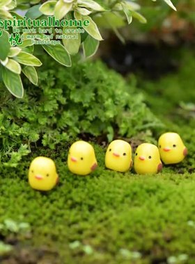 黄色小鸡迷你微景观动物卡通树脂