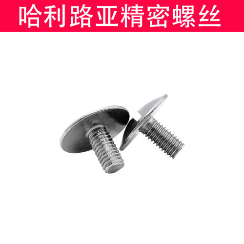 304不锈钢GB947特大扁头一字开槽螺丝螺钉扁圆头螺栓M2-M8 - 图1