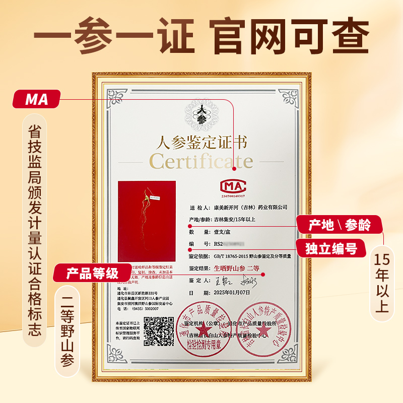 康美新开河野山参 二等品礼盒装 15年长白山人参节日送礼泡酒煲汤 - 图3
