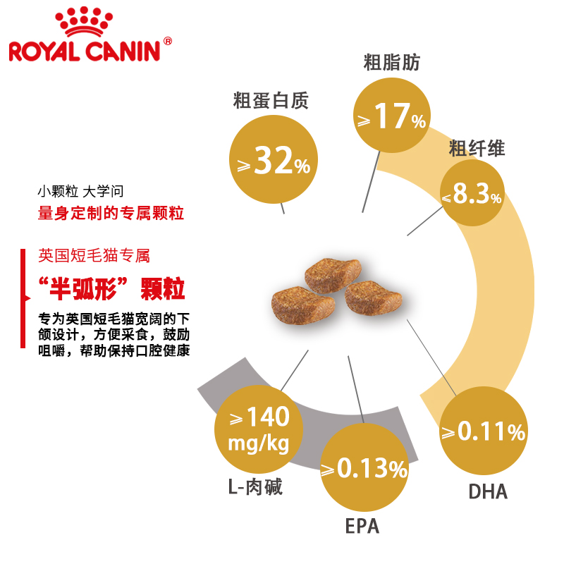 皇家BS34英短专用成猫粮10KG蓝猫渐层强健肌肉骨骼全价主粮10月龄 - 图2