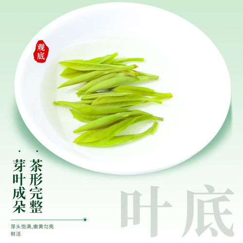 徽将军2026新茶明前特级黄山毛峰安徽绿茶茶叶正品官方旗舰店春茶 - 图2