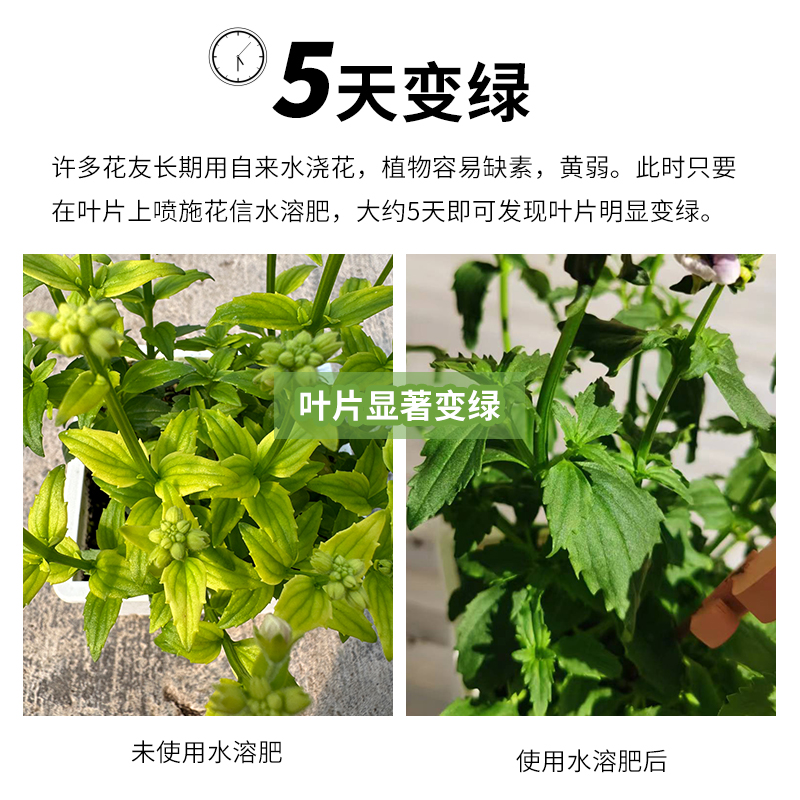 花信水溶肥兰科月季绣球通用绿植高效安全可靠家庭园艺肥料-图3