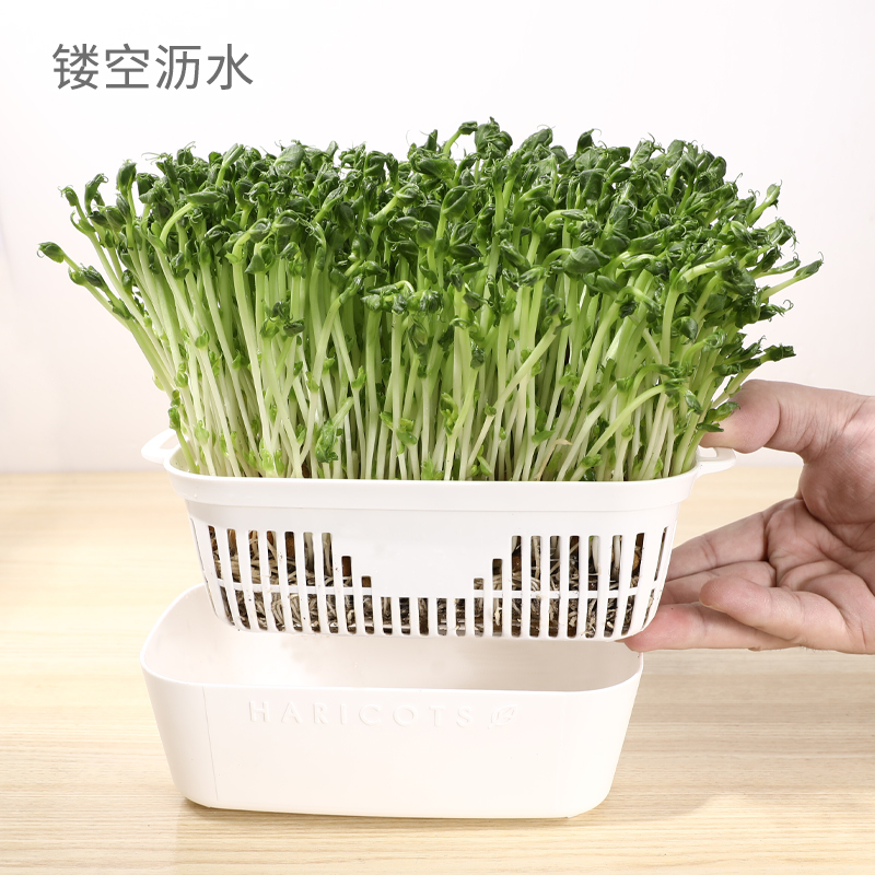 日本进口豌豆苗发芽盆绿豆芽栽培器蔬菜猫草种植无土水培育苗托盘-图1