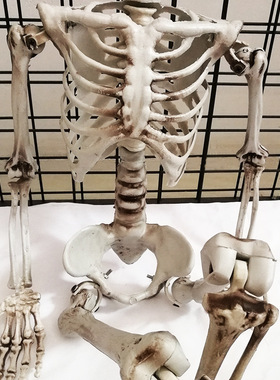 万圣节骷髅骨架密室鬼屋装饰道