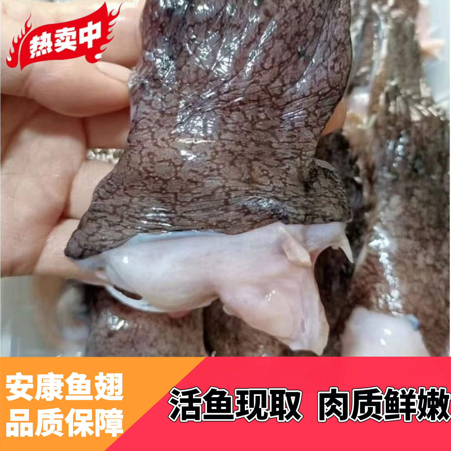 新鲜安康鱼翅膀冷冻鱼翅鱼鳍安康鱼鲜活深海鱼翅海鲜水产整箱批发,淘宝优惠券,粉丝福利购,淘宝优惠卷