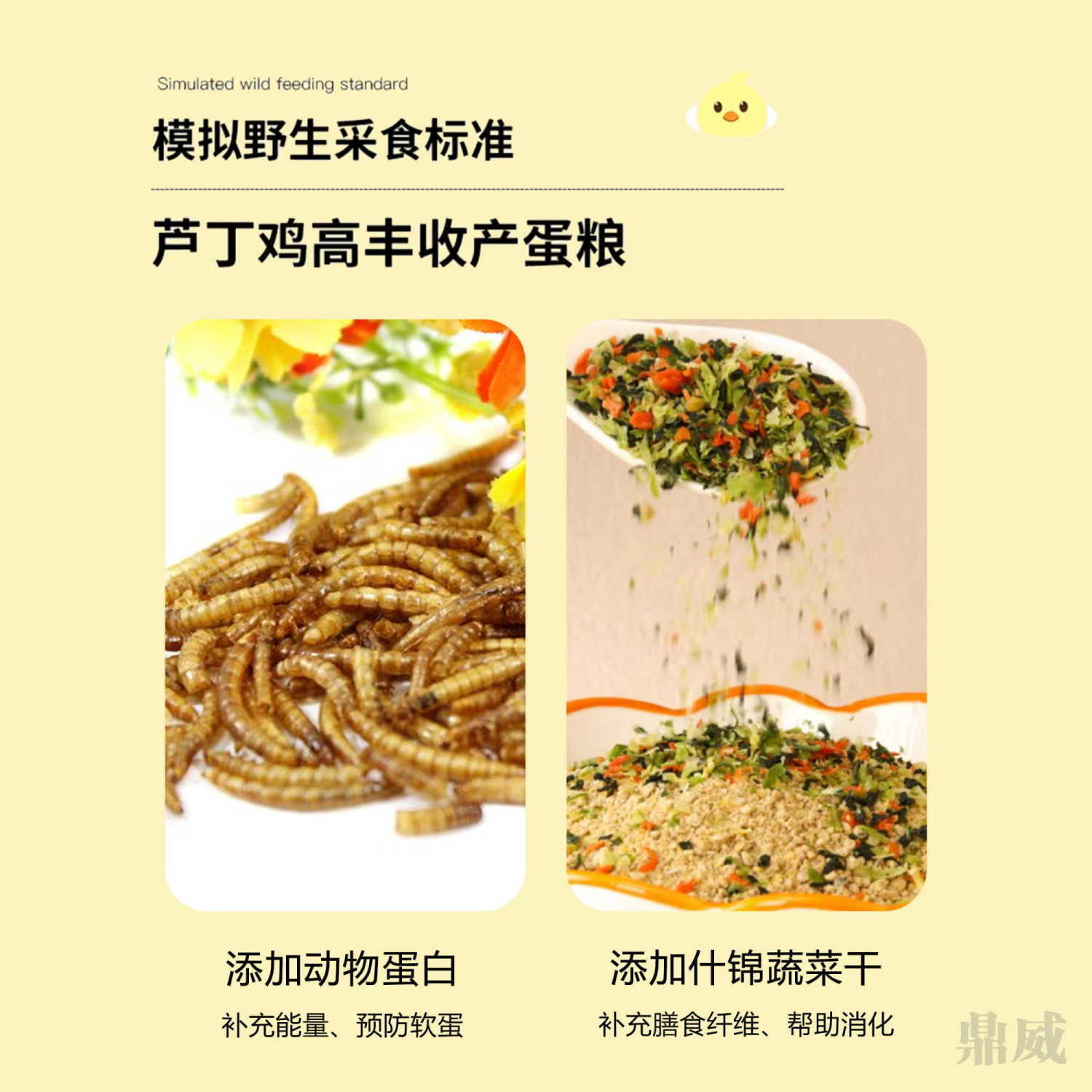 瑞泰芦丁鸡饲料育雏鹌鹑小鸡蓝胸产蛋下蛋食料开口通用饲料 - 图3