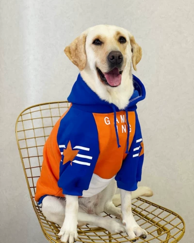 Одежда для любителей собак, бархатное тепло осенью и зимой, пятизвездочная толстовка с синим апельсиновым хлопчатобу