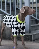 Модные демисезонные шахматы, удерживающий тепло шнурок-держатель, толстовка, домашний питомец