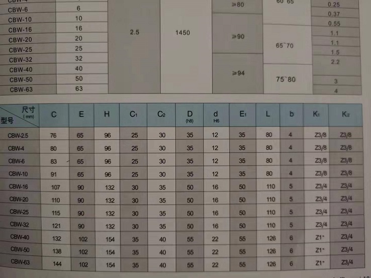 新齿轮泵 CBB6 CBB41025 带耳款 CBW6 锯床 抽油 磨床  电动促 - 图2