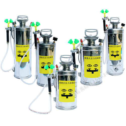 304不锈钢洗眼器化工厂车间便携式洗眼器工业验厂紧急喷淋洗眼器 - 图3