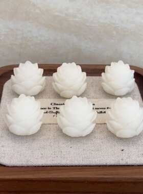 菩提根元宝大蒜莲花猫爪波特合集手工DIY可爱饰品配饰手串隔珠