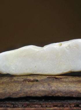 高古老白贝贝吊坠7×20mm