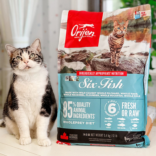 贝多芬宠物/美国进口Orijen渴望无谷鸡肉全猫粮六种鱼猫粮5.4kg - 图1
