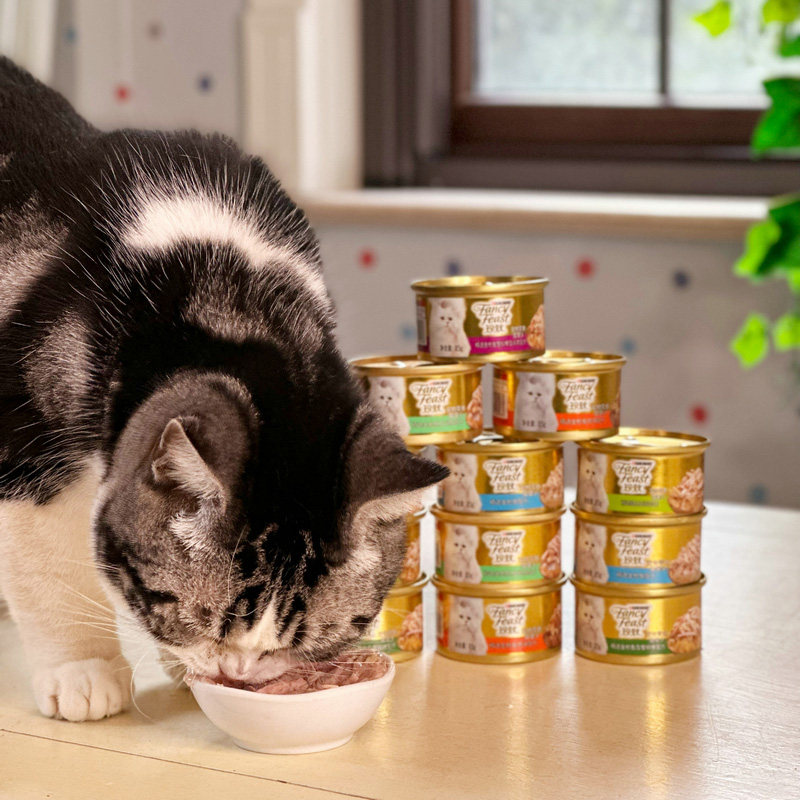 贝多芬宠物/进口普瑞纳珍致猫罐头浓汤猫罐湿粮猫零食罐24罐,淘宝优惠券,粉丝福利购,淘宝优惠卷