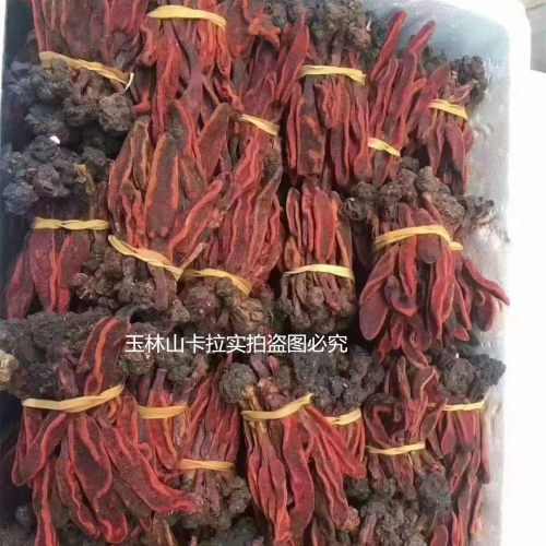 回春草 顶天柱 不老草回心草民间滋补泡酒料整株干品发货当季新货 - 图3