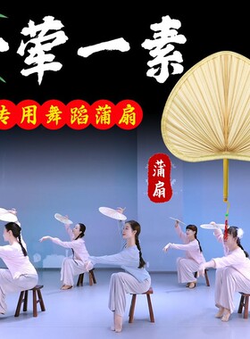 舞蹈专用老式蒲扇葵扇