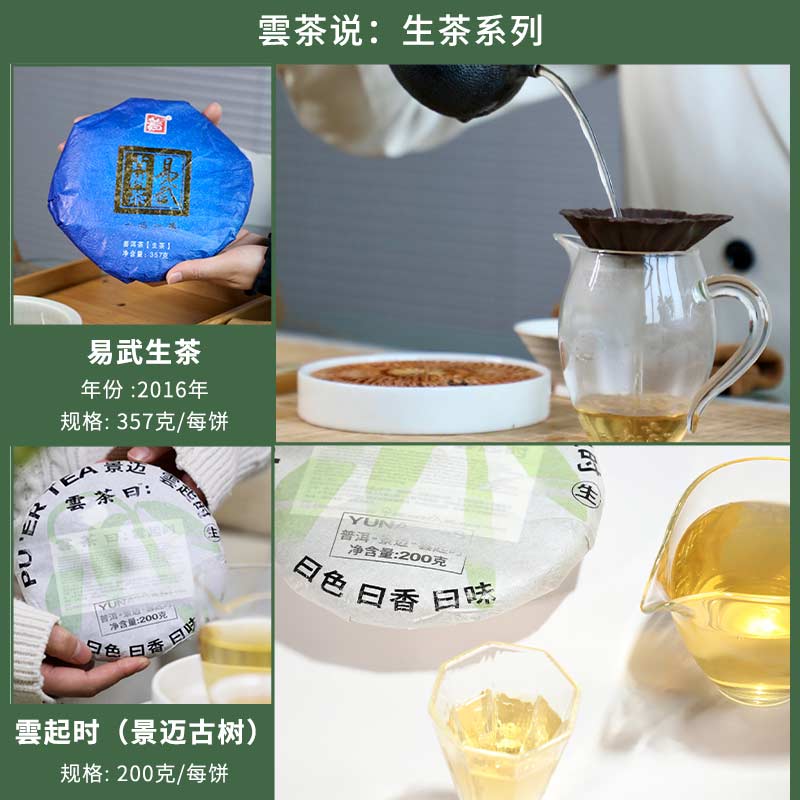 云南生普洱生茶古树茶饼七子饼南迫易武生茶限量老茶-图2