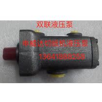 Double-link vane pump Shenweda YB-D5 3 high-pressure vane pump oil pump Hydraulic Pump of cutting paper Oil Pump