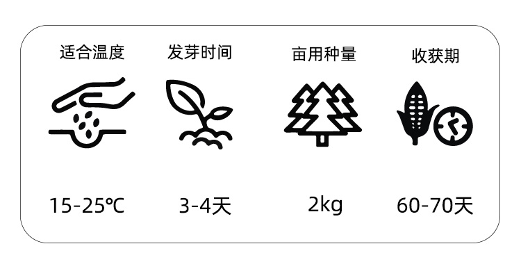 华赣金玉良缘长豇豆种子种籽荚绿油亮耐热厚肉春夏秋-图0