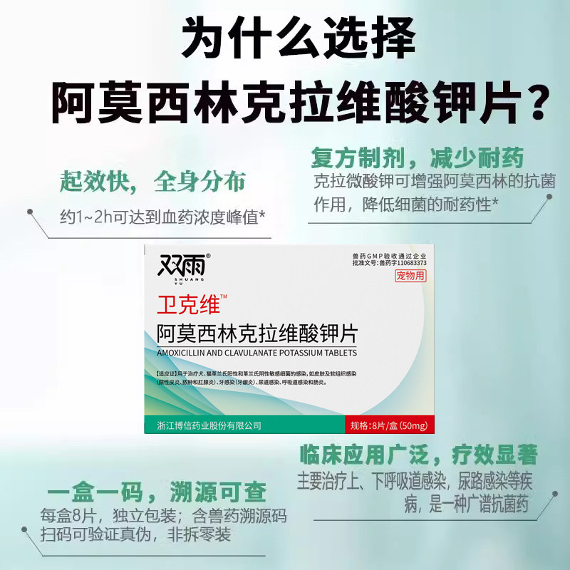 双雨阿莫西林宠物感冒咳嗽喷嚏狗狗猫咪拉稀呕吐鼻支犬窝咳消炎片