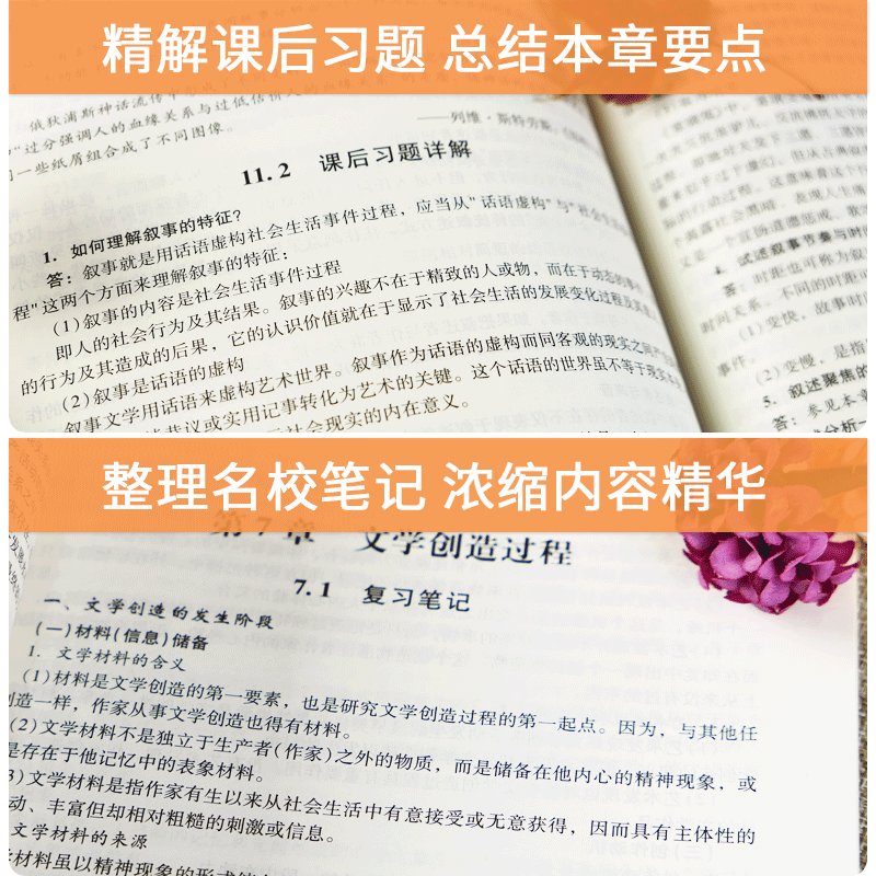 文学理论教程童庆炳第五版同步辅导书+洪子诚中国当代文学史修订版笔记和考研真题2022汉语言文学中文类考研教材练习题集pdf圣才 - 图0