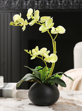 仿真蝴蝶兰花艺套装摆件中式客厅