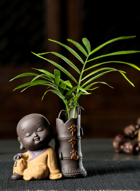 迷你小花器办公室个性茶宠可养