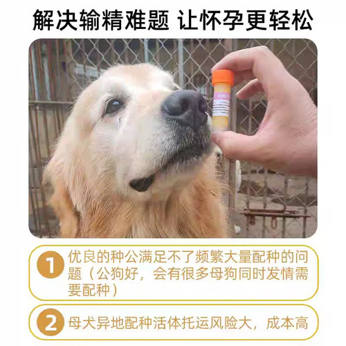 倍特双犬精子营养液犬精保存营养液稀释液保鲜运输犬精子运输 - 图0