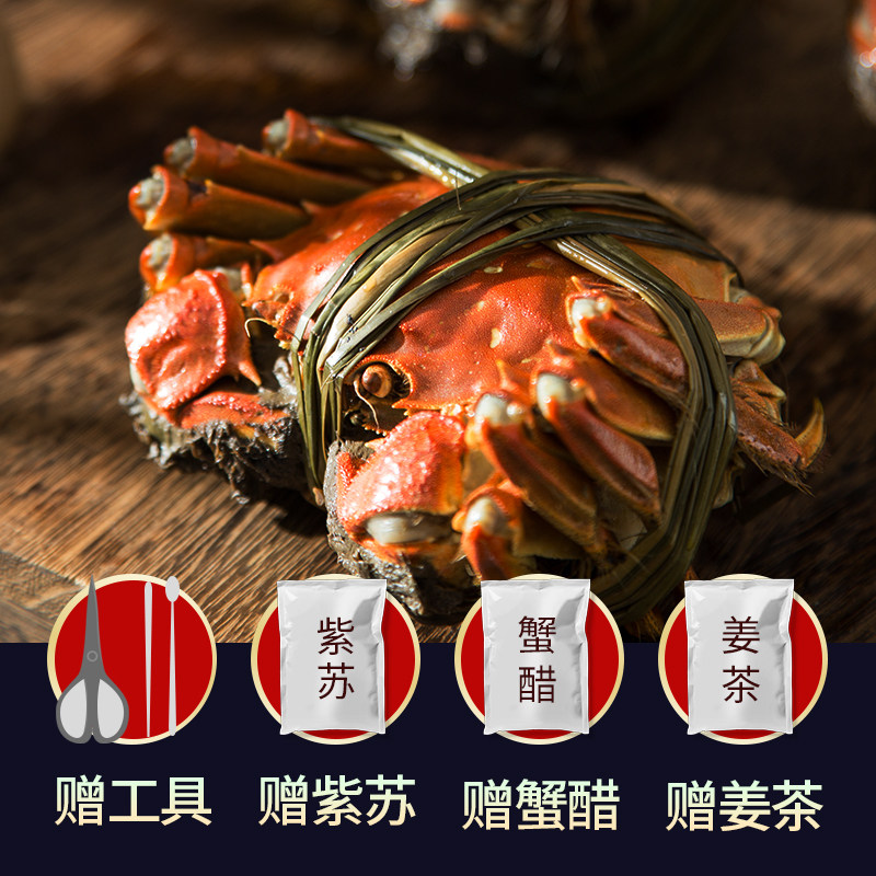 特大现货大闸蟹鲜活螃蟹礼盒团购官方旗舰公蟹4.7-5两母蟹3.7-4两,淘宝优惠券,粉丝福利购,淘宝优惠卷