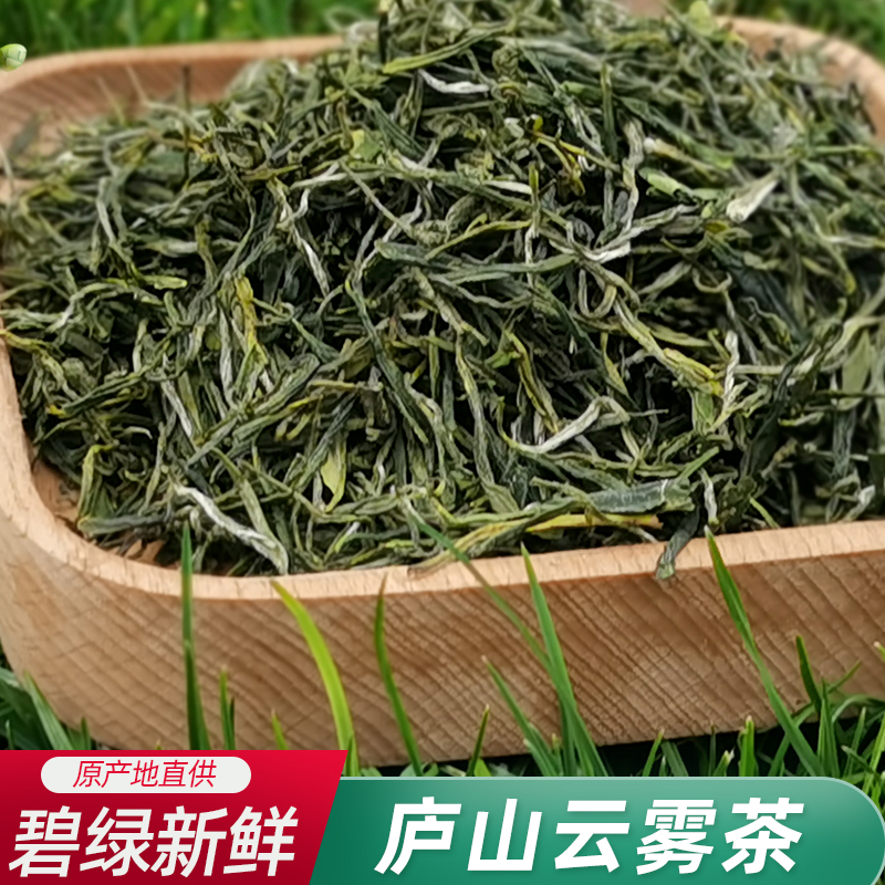 庐山云雾茶2024特级江西庐山特产新茶九江茶雨前绿茶茶叶耐泡罐装 - 图0