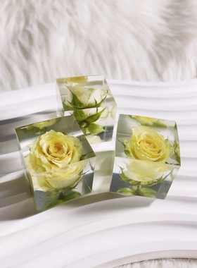 【寻花记】手工制作小玫瑰永生花小飞燕罗丹斯滴胶标本桌面小摆件