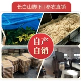 Порошок женьшеня Чангбай гора женьшень порошок белый женьшень порошок супер мелкий порошок 500 г, содержащий женьшень сапонин, подлинный