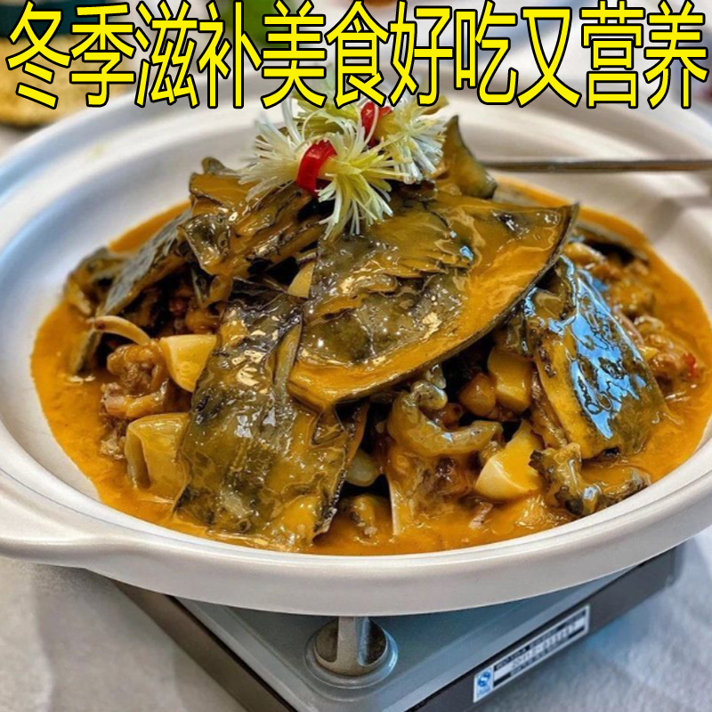 青黄色 正宗生态放养新鲜活食用大公甲鱼水鱼团鱼王八中华鳖母鳖,淘宝优惠券,粉丝福利购,淘宝优惠卷