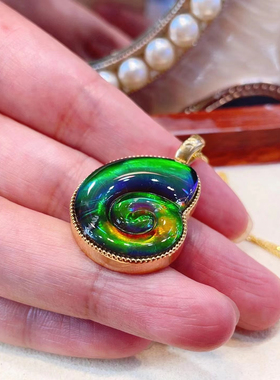 天然加拿大斑彩石宇宙密码螺吊坠