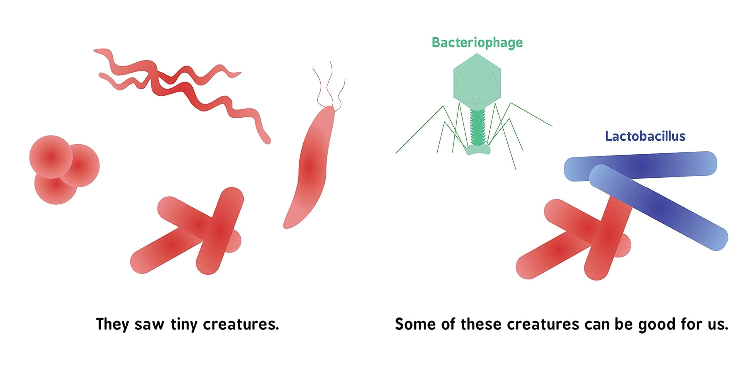 宝宝大学：细菌理论 Germ Theory for Babies  科普启蒙  英文原版 - 图3