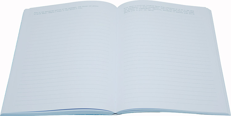 642件可写的事:停不下来的创意冒险 英文原版 手帐 笔记本 642 Things to Write about (Guided Journal, Creative Writing)