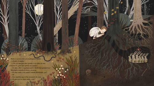 西班牙语原版 Julia Sarda 绘本 Pedro y el bosque/ Pedro and the Forest 佩德罗与森林 - 图2