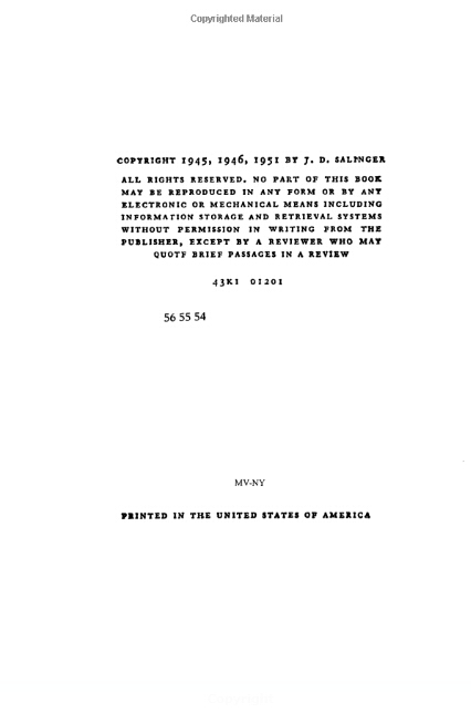 英文原版 The Catcher in the Rye 麦田的守望者 杰罗姆大卫塞林格 蓝思值790L - 图0
