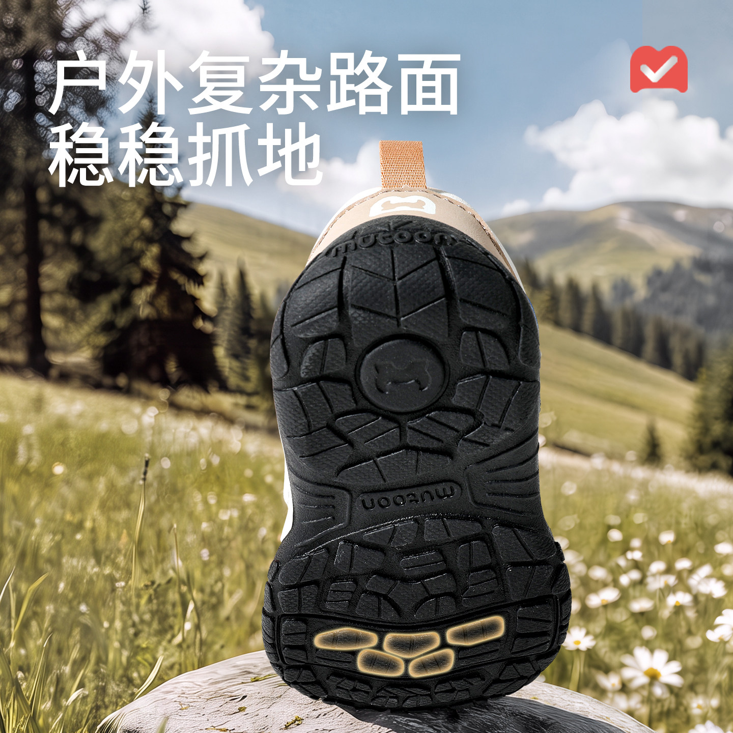 图 5