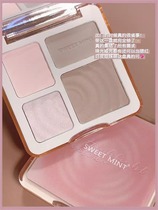 sweetmint four color repair disc with high light repair nose shadow-body disc matte with bright face nose and shadow disc