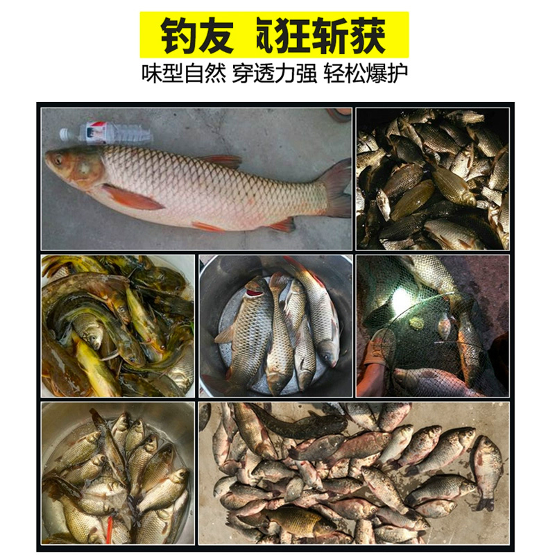 西部风草霸老坛玉米打窝料钓饵草鱼青鱼黑坑湖库湖泊野钓鱼垂钓 - 图2