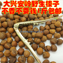 New stock Northeast Teryield Daxing Anling Pure wild hazelnut 500 gr Fresh original flavor Nuts Nutrition abundant