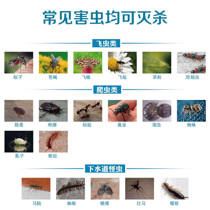 坤宁王卫生间厕所下水道杀虫剂家用小飞虫潮虫管道杀虫水乳剂